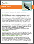 CWHC
